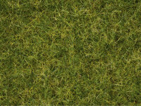 NOCH H0 07072 Master-Grasmischung “Sommerwiese”