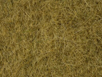 NOCH H0 07091 Wildgras