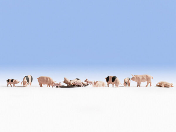 NOCH N 36712 Schweine