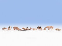 NOCH N 36712 Schweine