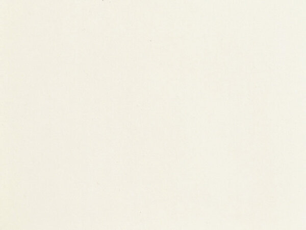 NOCH H0 61190 Acrylfarbe, matt, weiß