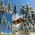 Busch H0 6153 2 verschneite Hochstammfichten