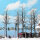 Busch H0 6158 4 winterliche Platanen