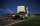 Viessmann H0 8030 MB ACTROS 3-achs Sattelschlepper,Basis, Funktionsmodell