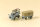 Auhagen H0 40501 Multicar M22 Post Fernmeldetechnik - Fachhandelsmodell