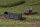 Auhagen H0 41709 Schüttgutlore