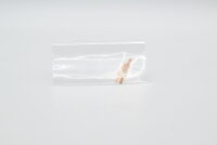 Minitrix N 15446 Nahverkehrswagen DB