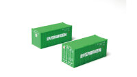 ROKUHAN Z 7297550 20 Container Evergreen, 2 Stück