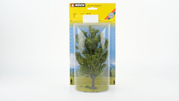 NOCH H0 21755 Erle, 18 cm hoch