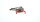 Märklin H0 7247 Einholm-Stromabnehmer